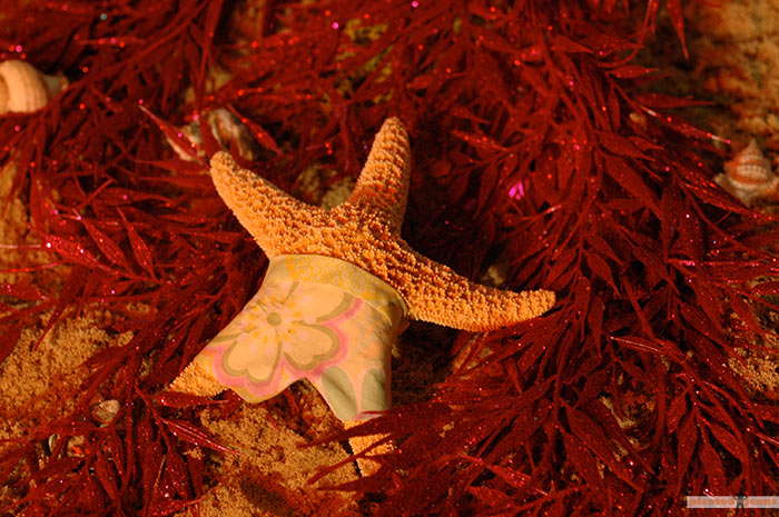 Spongebob-Patrick-In-Real-Life