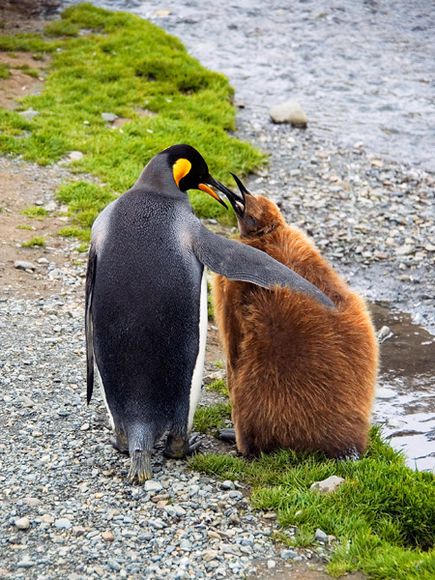 photography.nationalgeographic