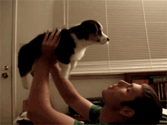 Funny GIFs (4)
