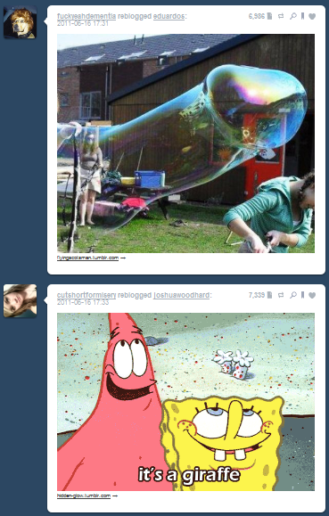 Tumblr Coincidences (6)