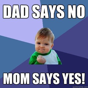 Success Kid (16)