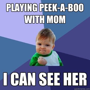 Success Kid (15)