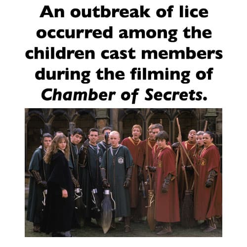 harry potter facts not in books