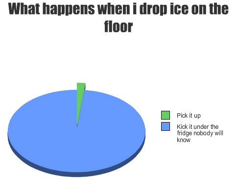 Funny Pic Dump (5)