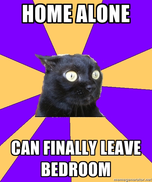 Anxiety Cat (13)