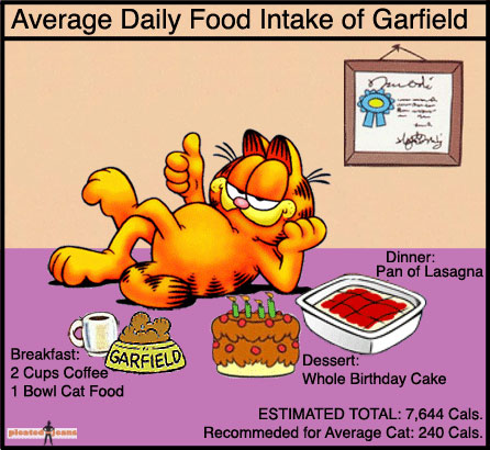 Cast Eats Half Dog Food Half Cat Food Cast Eats Half Dog Food Half Cat Food