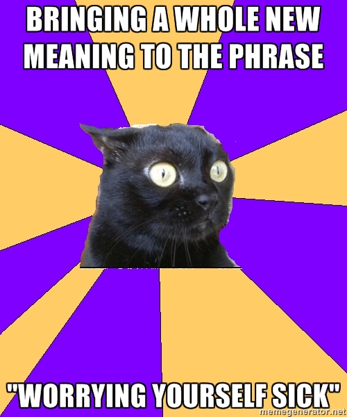 Anxiety Cat (8)