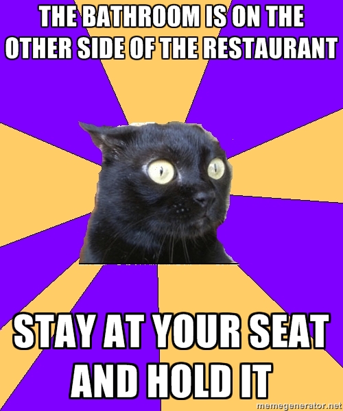 Anxiety Cat (9)