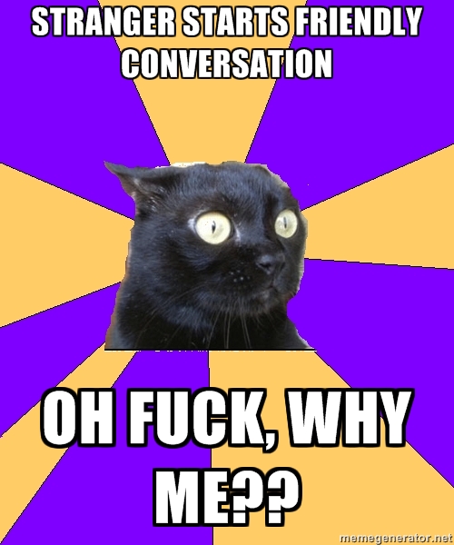 Anxiety Cat (18)