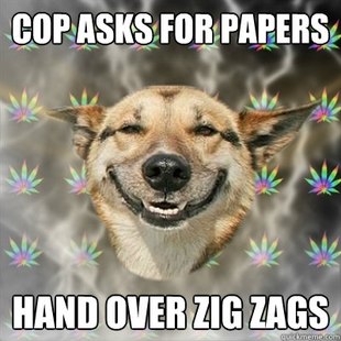 Best of the Stoner Dog Meme (17)
