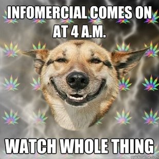Best of the Stoner Dog Meme (18)