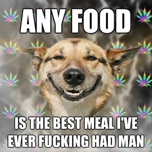 Best of the Stoner Dog Meme (8)