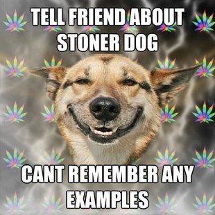Best of the Stoner Dog Meme (16)