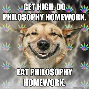Best of the Stoner Dog Meme (14)