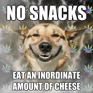 Best of the Stoner Dog Meme (11)