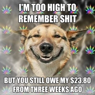 Best of the Stoner Dog Meme (13)