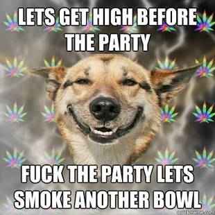 Best of the Stoner Dog Meme (12)