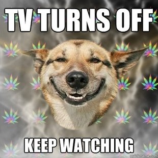 Best of the Stoner Dog Meme (10)