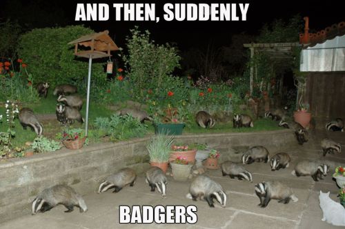 Funny Pic Dump (1)