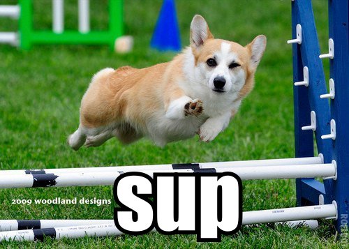 Funny Pic Dump (3)
