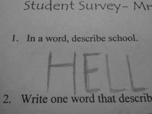 Funny Pic Dump (15)