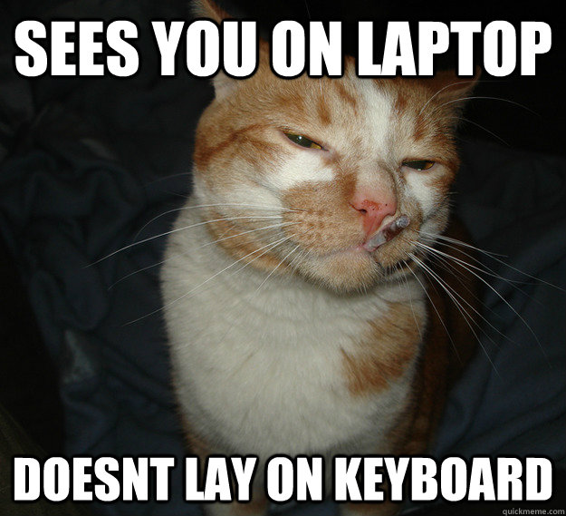 best of the cool cat craig meme (20 pics) pleated jeans 35smm3 best of the cool cat craig meme (20 pics) pleated jeans