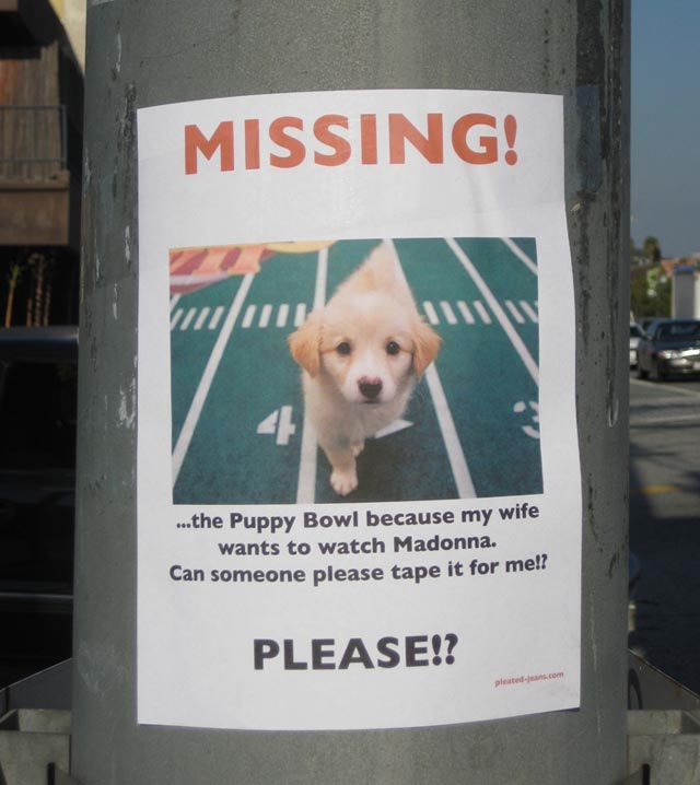 28 funniest quot missing quot flyers ever posted on a telephone pole missing dog flyers