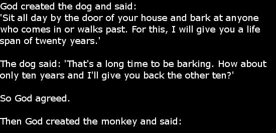 Tag Archives: jokes Tag Archives: jokes