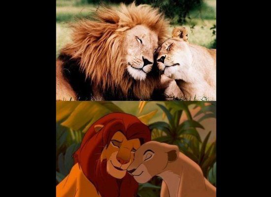 Fictional Characters Caught in the Real World (6)