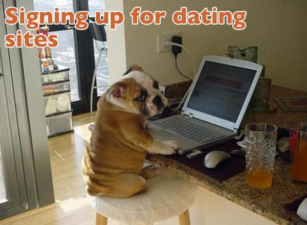 valentines-dogs11