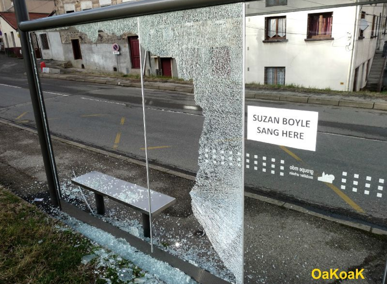 OakOak Funny Street Art (14)