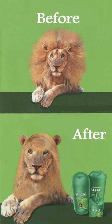 Funny Before and After (8)