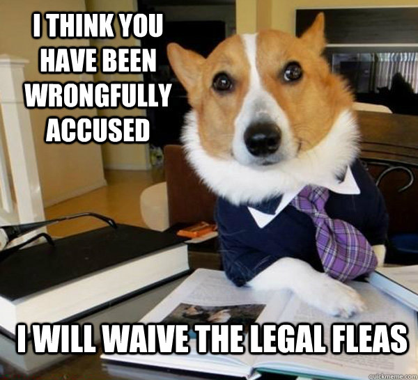 Lawyer Dog Meme (2)