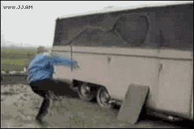Funny GIFs (1)