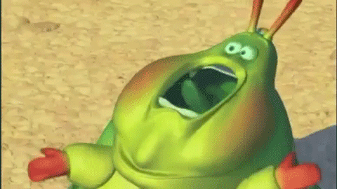 when you see a spider
