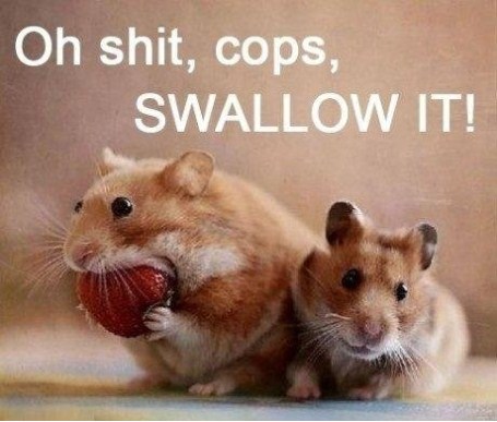 Funny Pic Dump (5)