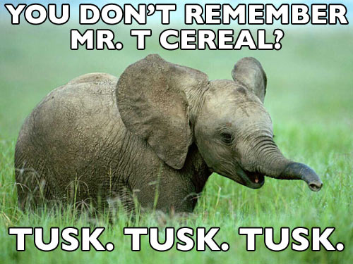 nostalgia-elephant8