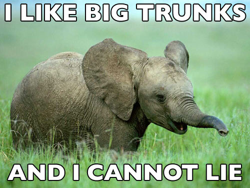 nostalgia-elephant9