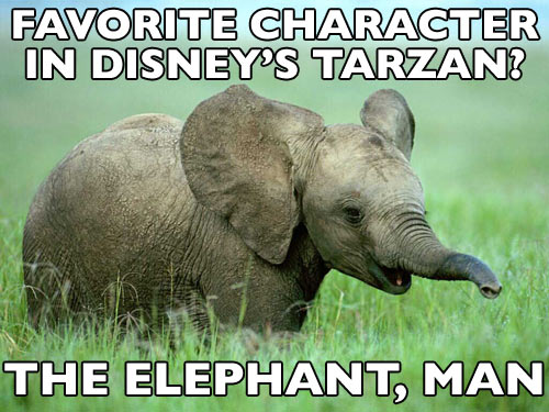 nostalgic-elephant10
