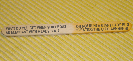 Popsicle Stick Joke (5)