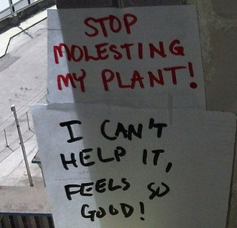 can help