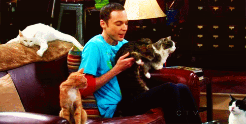 when youre alone with your pet