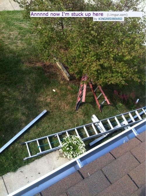 Day-Ruining Moments (9)