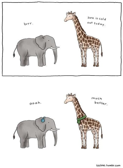 Funny Pic Dump (10)