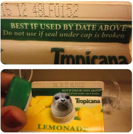 Funny Pic Dump (19)