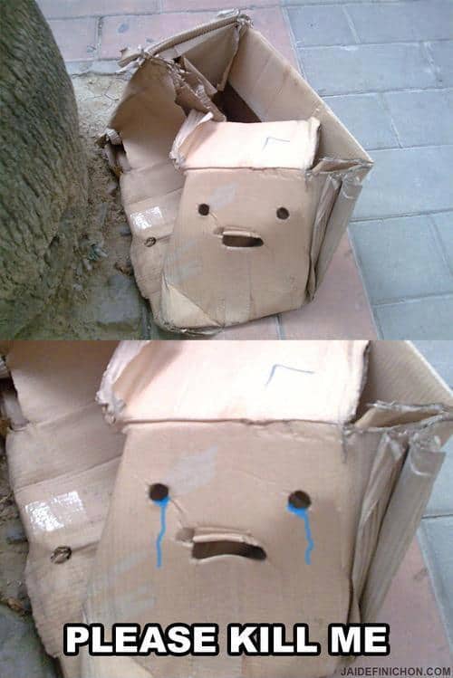 Funny Pic Dump (2)