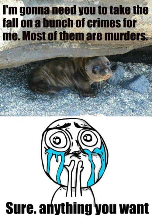 Funny Pic Dump (6)