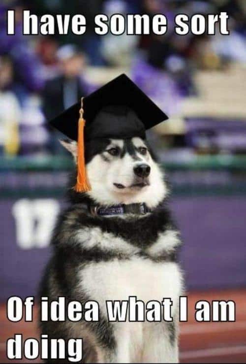 Funny Pic Dump (11)