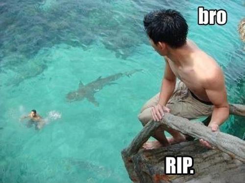 Funny Pic Dump (11)