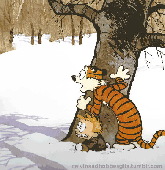13 Calvin and Hobbes GIFs (3)